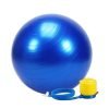 Gym Ball | Exercises Ball | Yoga Balls | Balance Balls 65CM | Champions Store
