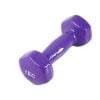 Dumbbell Vinyl Weights 5 kg – One Piece – Purple