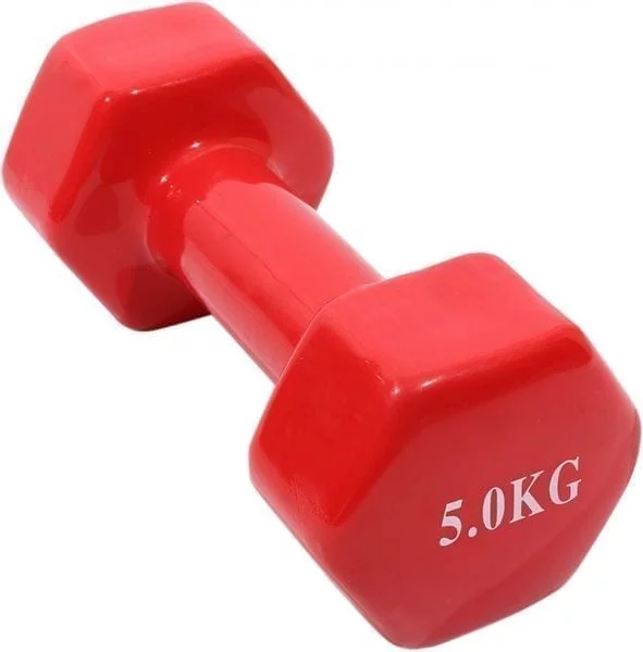 Dumbbell Weights for Gym & Workouts - 5 kg - One Piece - Red