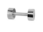 Nickel Silver Weight Dumbbell 5kg - One Piece
