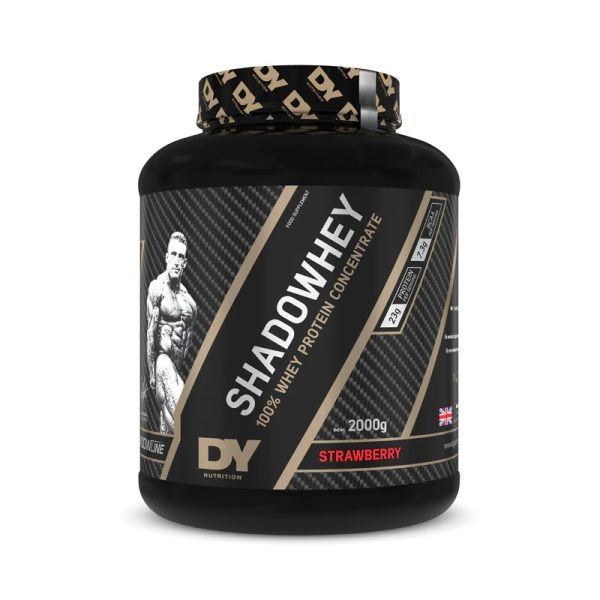 whey protein isolate